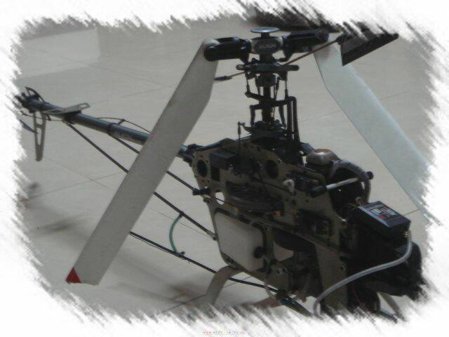 DSC01149.JPG