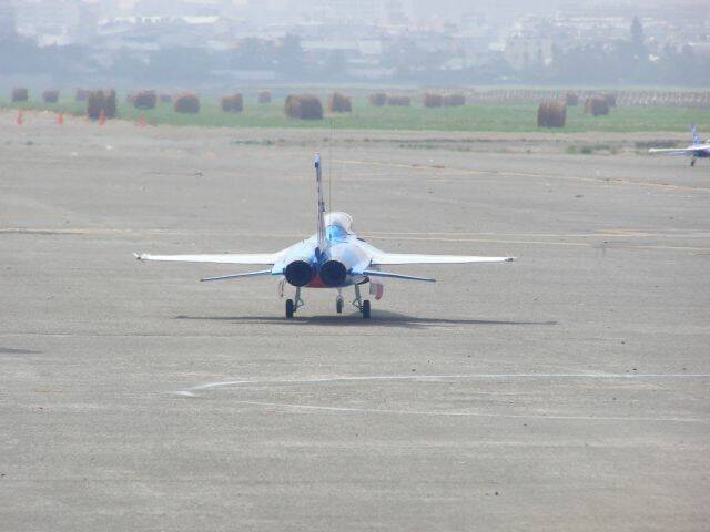 IDF-1.jpg