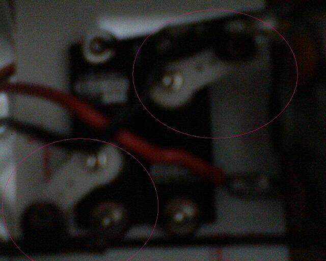 DSC00516.JPG
