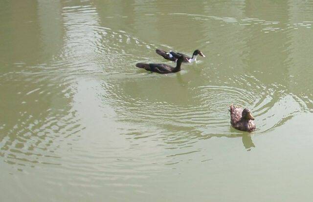 .跟蹤