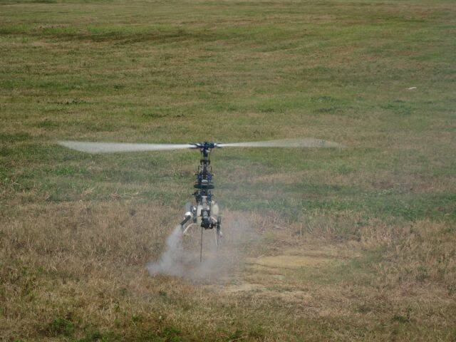 IMG_3133-1.jpg