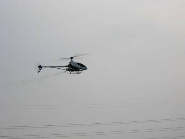 IMG_3285-.jpg