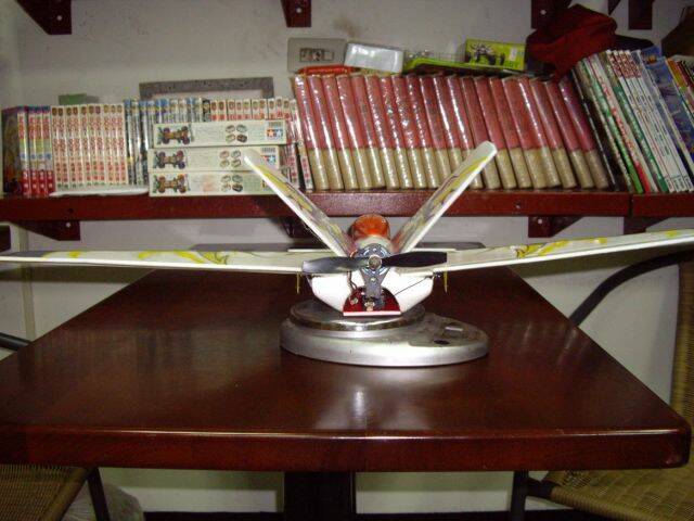 FIRE FOX-5.jpg