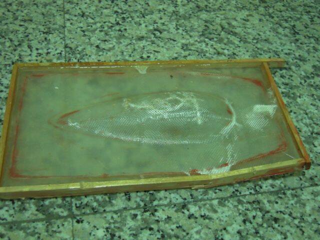 DSCN0426.JPG