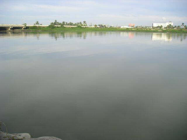 P1010513.JPG