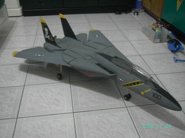 f14 1.JPG