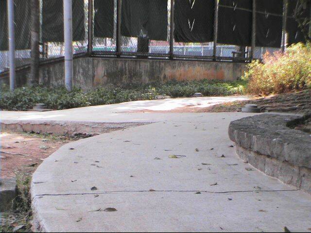 PIC_0097.JPG