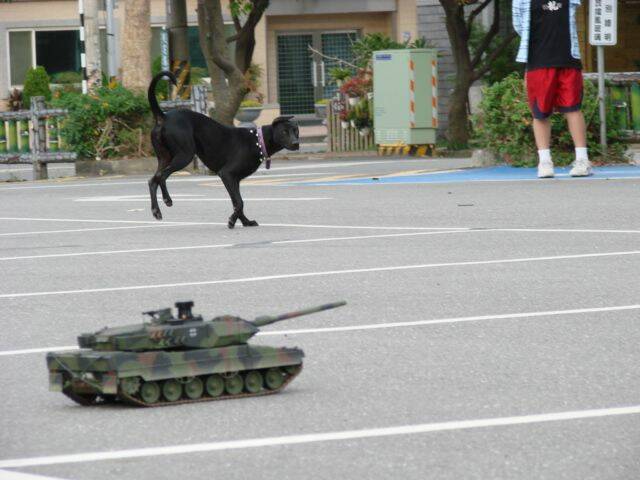 2a6擊發砲彈把狗驅走