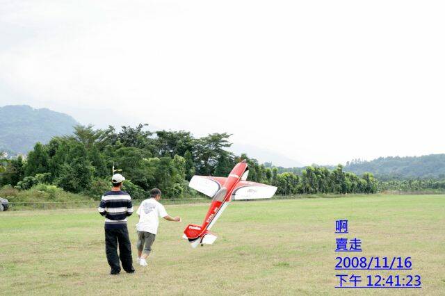 抓鳥大法1.jpg