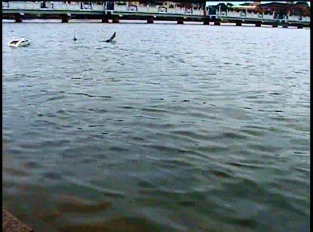 PDVD_032a.jpg