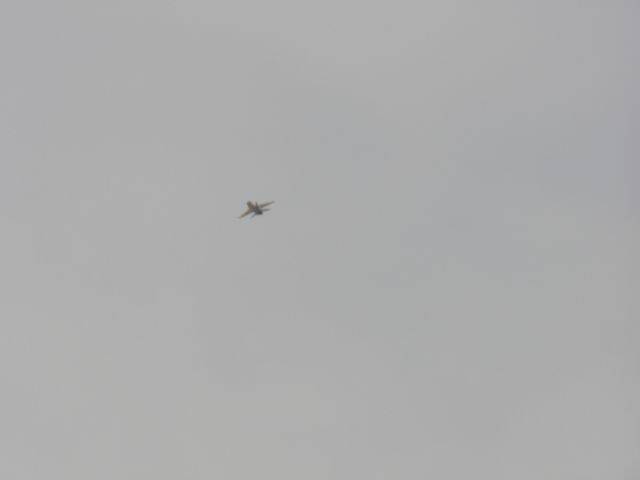 F16-3.jpg