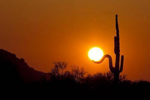 Play sun-6.jpg