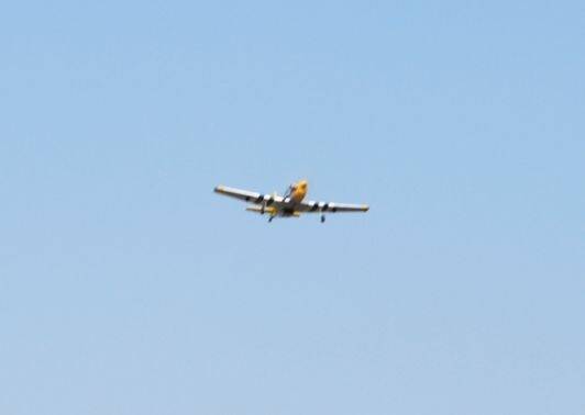 51-1.JPG