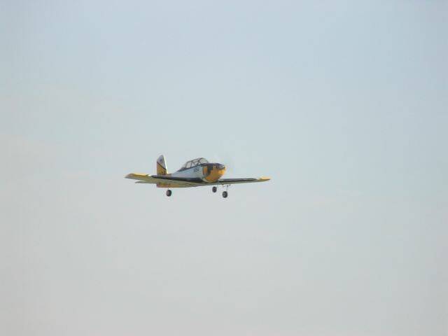 DSC00307.JPG
