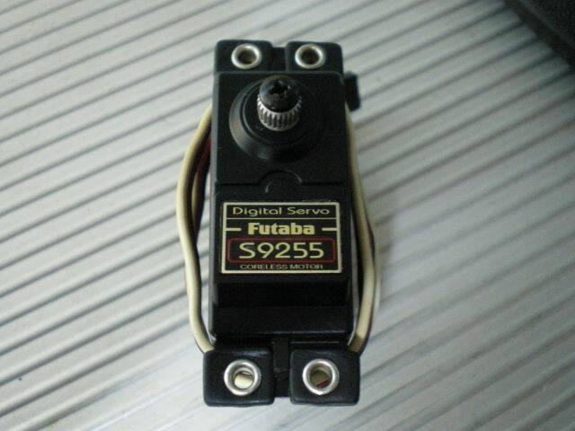 IMGP1464.jpg
