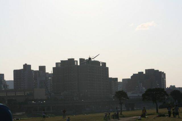 IMG_5244 (800x533).jpg