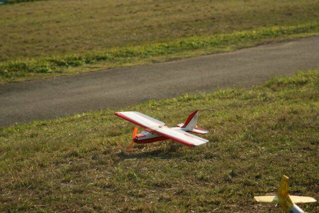 IMG_5131 (800x534).jpg