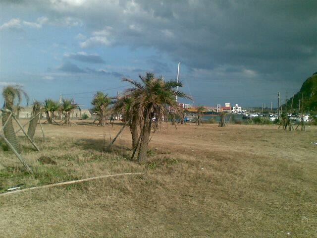 20081211(006).jpg