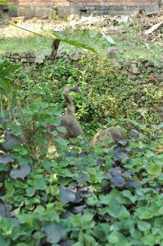 Resized_DSC_3750.JPG