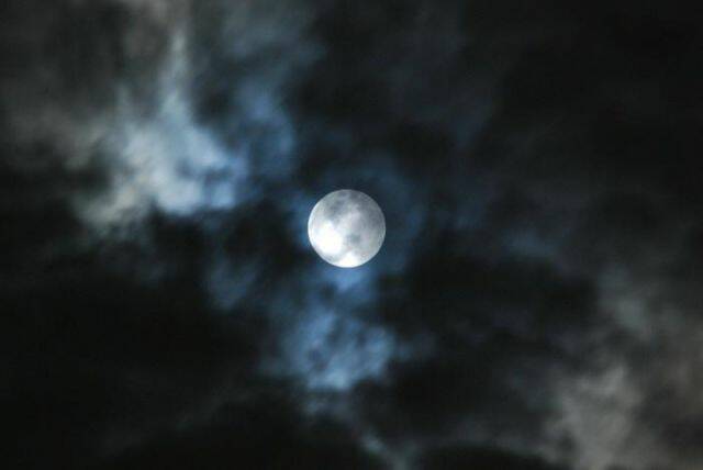 DSC_3186.jpg