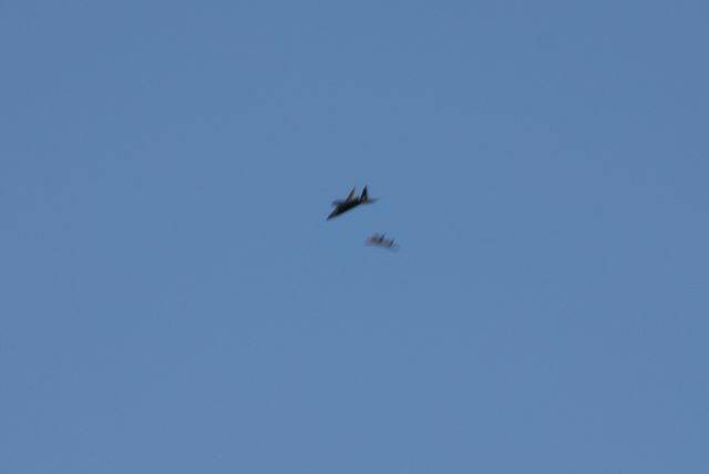 DSC_3306.jpg