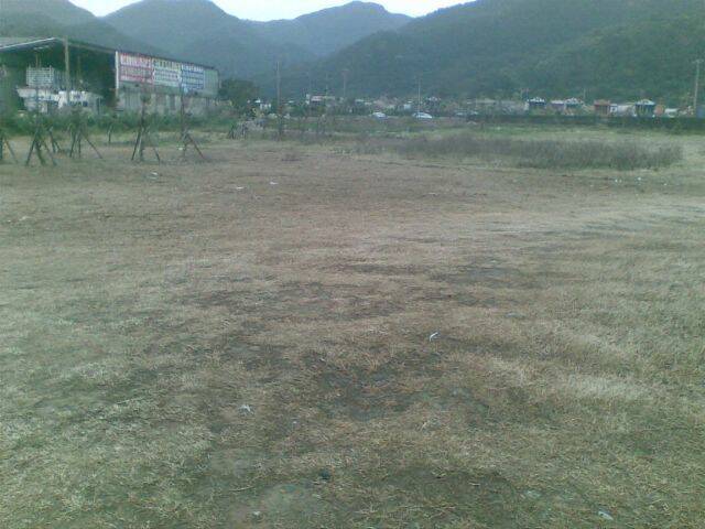 20081214(004).jpg