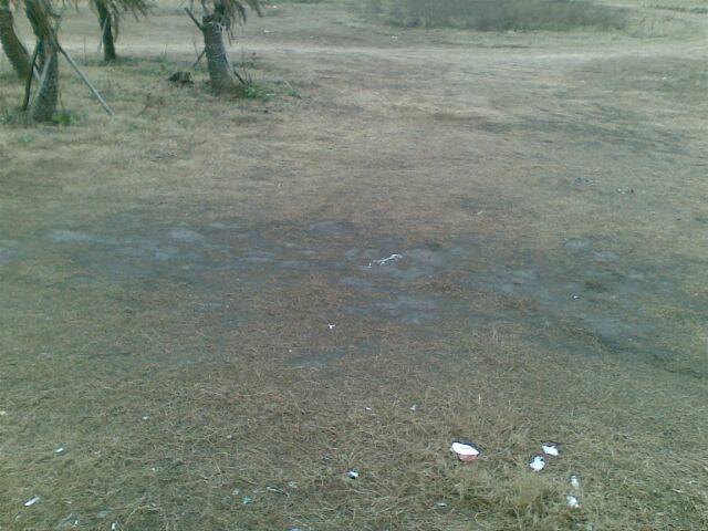 20081214(001).jpg