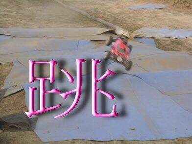 照片 166_調整大小.jpg