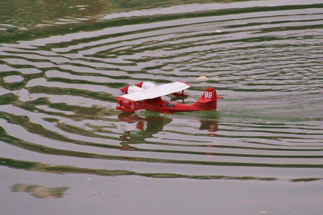 IMG_5458 (800x533).jpg