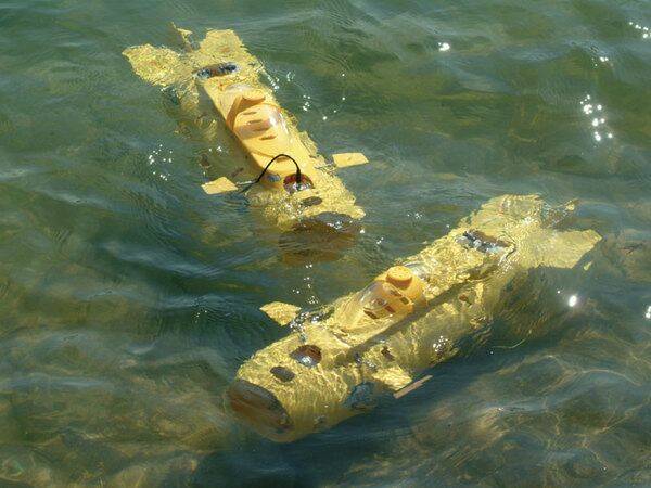 呼喚潛水中的誰呀????