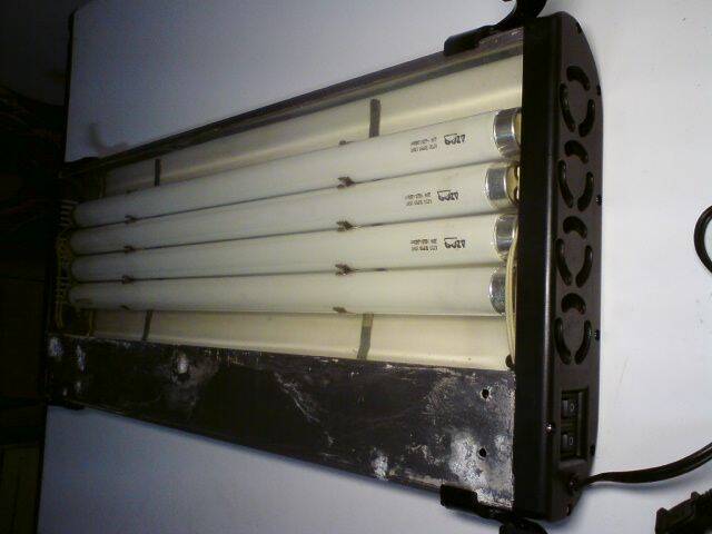 DSC00014.JPG