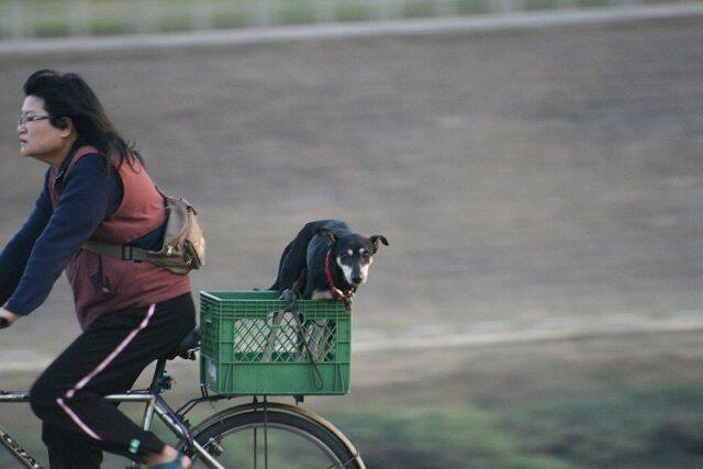 本日最無辜表情獎