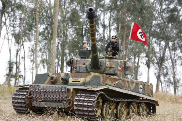 tm tiger.jpg