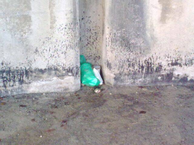 20090101095.jpg