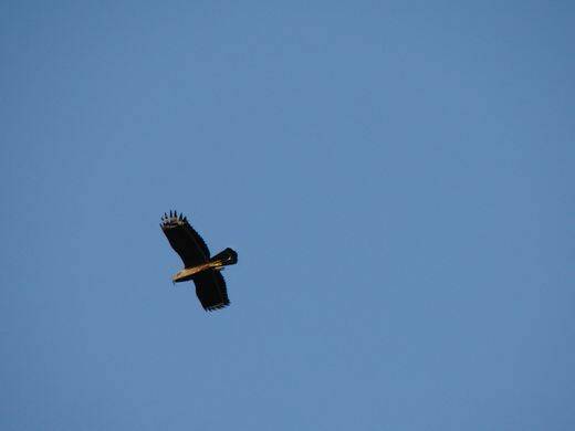 tn_DSC03869.JPG