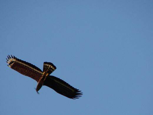 tn_DSC03874.JPG