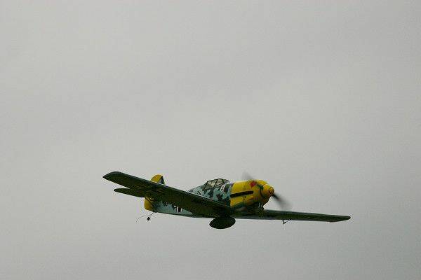 IMG_0275.jpg