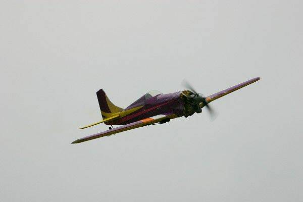 IMG_0103.jpg