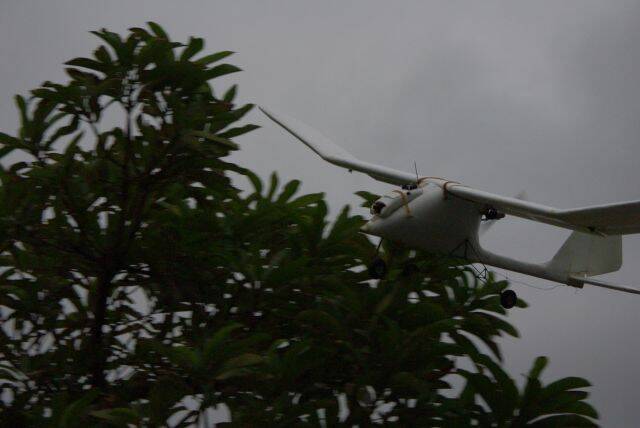 起飛.......(.哀...小心樹.......)