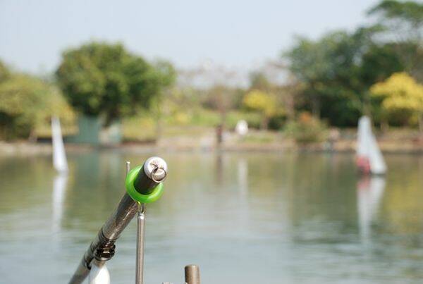 m_DSC_0042.JPG