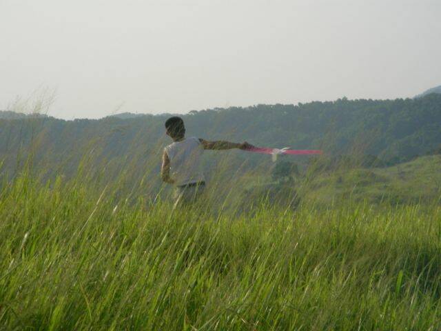 dscn0594zn8.jpg