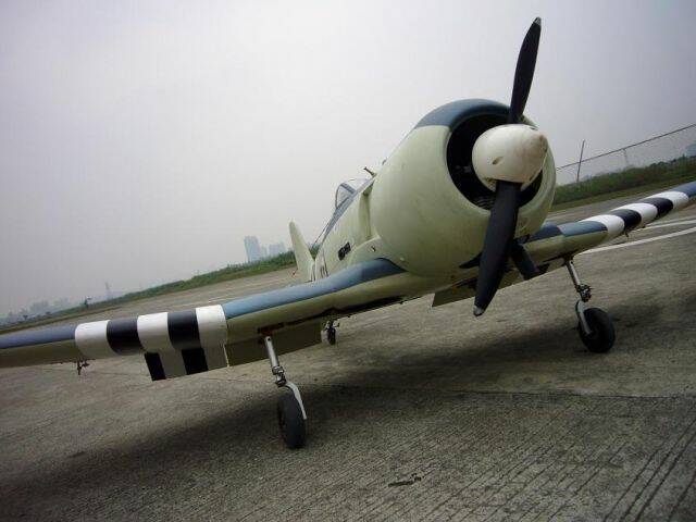 P1050668.JPG