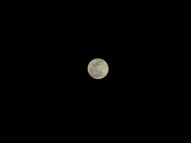 龍岡的月色滿月