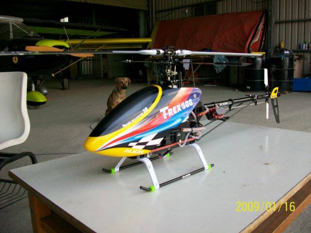 100_0032.JPG