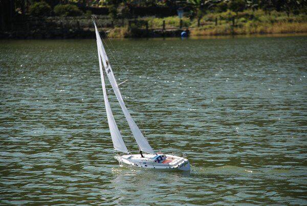 m_DSC_0095.JPG