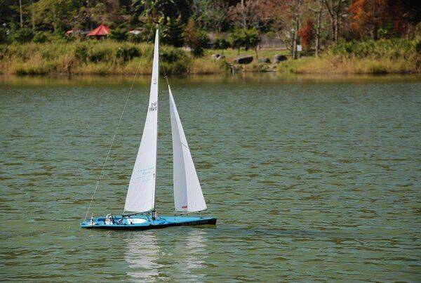 m_DSC_0056.JPG