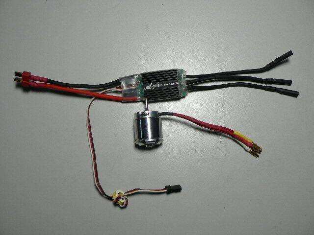 P1010407.JPG