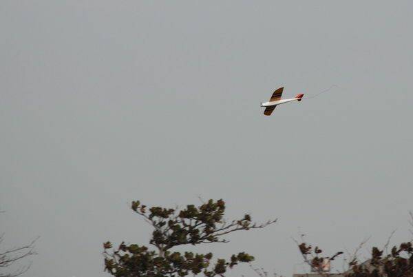 DSC_4094.jpg