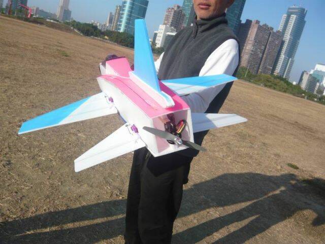 自製 F-22
