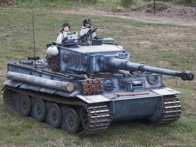 robin-tiger1.jpg